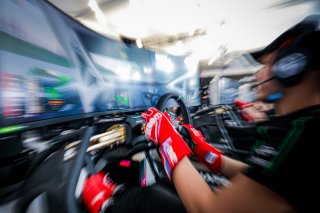 Fanatec SRO Esports GT Pro Series Paul Ricard, Race
