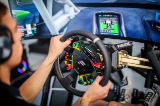 Fanatec SRO Esports GT Pro Series Paul Ricard
