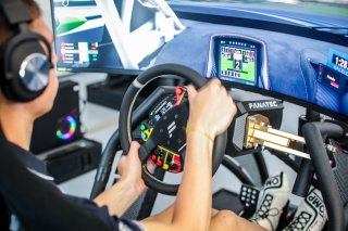 Fanatec SRO Esports GT Pro Series Paul Ricard
