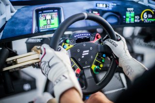 Fanatec SRO Esports GT Pro Series Paul Ricard
