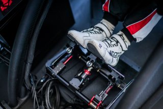Fanatec SRO Esports GT Pro Series Paul Ricard
