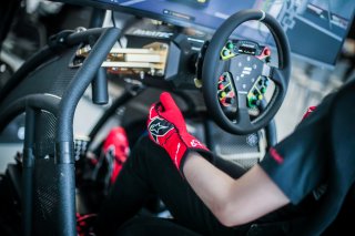 Fanatec SRO Esports GT Pro Series Paul Ricard

