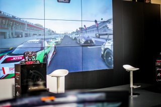 Fanatec SRO Esports GT Pro Series Paul Ricard, Race
