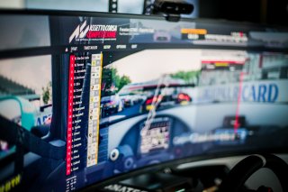 Fanatec SRO Esports GT Pro Series Paul Ricard, Race
