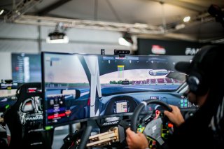 Fanatec SRO Esports GT Pro Series Paul Ricard, Race
