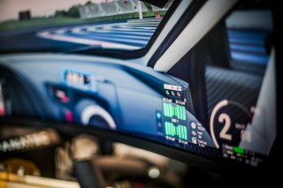 Fanatec SRO Esports GT Pro Series Paul Ricard, Race
