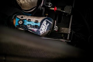 Fanatec SRO Esports GT Pro Series Paul Ricard, Race
