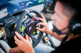 Fanatec SRO Esports GT Pro Series Paul Ricard, Race
