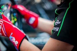 Fanatec SRO Esports GT Pro Series Paul Ricard, Race
