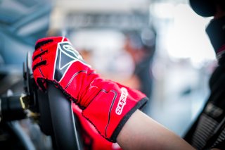 Fanatec SRO Esports GT Pro Series Paul Ricard, Race
