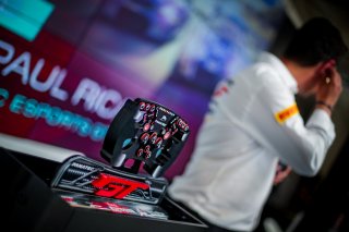 Fanatec SRO Esports GT Pro Series Paul Ricard, Race
