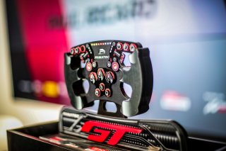 Fanatec SRO Esports GT Pro Series Paul Ricard
