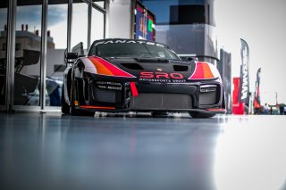 Fanatec SRO Esports GT Pro Series Paul Ricard
