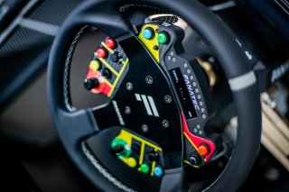 Fanatec SRO Esports GT Pro Series Paul Ricard
