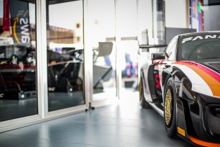 Fanatec SRO Esports GT Pro Series Paul Ricard
