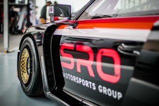 Fanatec SRO Esports GT Pro Series Paul Ricard
