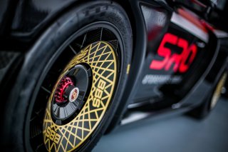 Fanatec SRO Esports GT Pro Series Paul Ricard
