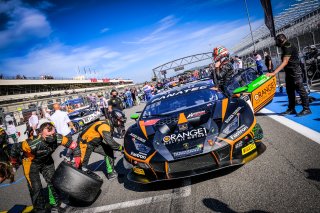 Gridwalk, Race
