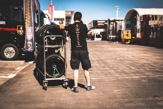 Paddock

