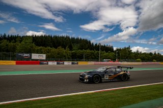 #34 Walkenhorst Motorsport DEU BMW M6 GT3 - - Sheldon van der Linde ZAF Marco Wittmann DEU David Pittard GBR Pro Cup, Free Practice
