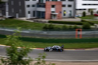 #57 Winward Racing USA Mercedes-AMG GT3 - - Russell Ward USA Mikael Grenier CAN Philip Ellis GBR Silver Cup IGTC, Free Practice
