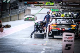 Pitlane, Race
