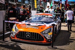 Gridwalk, Race
