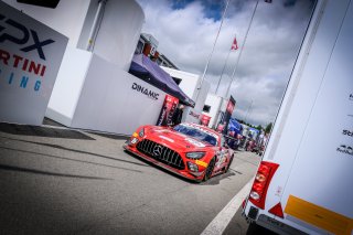 Paddock
