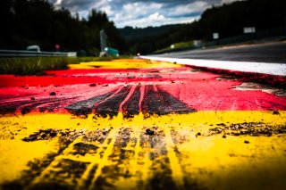 Trackwalk
