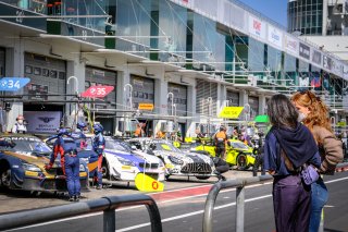 Gridwalk, Race
