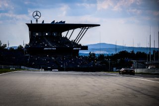 Gridwalk, Race
