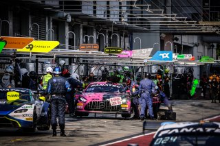 Pitlane, Race
