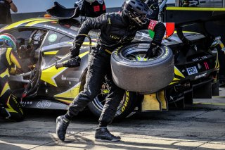Pitlane, Race
