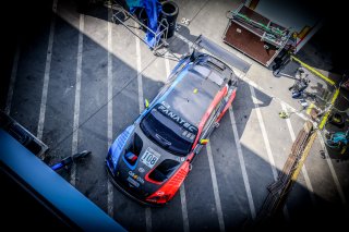 Paddock

