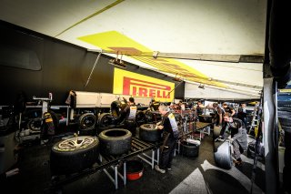 Paddock

