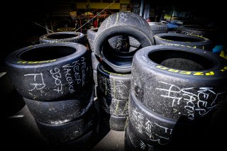 Paddock
