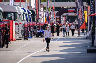 Bronze Test, Paddock
