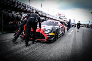 Gridwalk, Race
