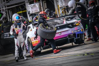 Pitlane, Race
