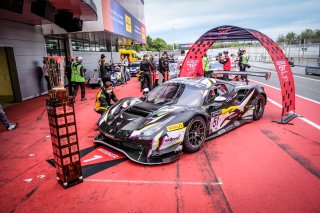 Champions, Race

