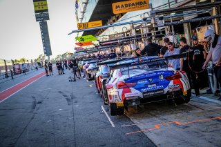 Track Walk
