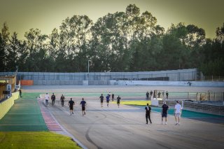 Track Walk
