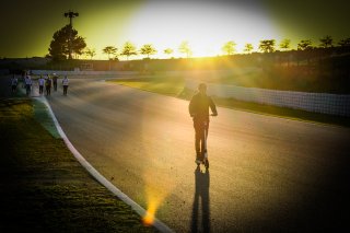 Track Walk
