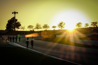 Track Walk
