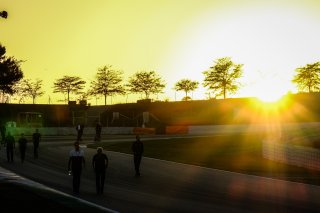 Track Walk
