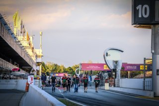 Track Walk
