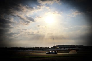 Free Practice
