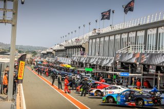 Pitlane, Qualifying
