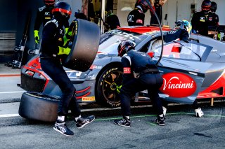 Pitlane, Race 1
