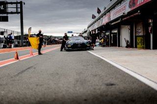Scrutineering
